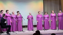 Концерт «Этих дней не смолкнет слава!» завершился в Валуйках Белгородской области