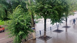 Второй месяц лета начнётся с дождей и гроз в Белгородской области