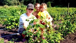 Жительница Новопетровки из Валуйского округа приобрела 2 000 саженцев малины благодаря соцконтракту