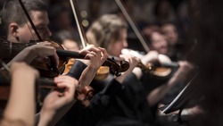 Симфонический оркестр выступит в Белгороде