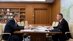 Вячеслав Гладков обсудил с Иреком  Файзуллиным защиту критических объектов региона от обстрелов