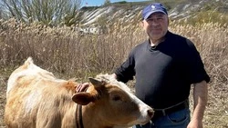 Валуйчанин из Белгородской области Фуад Мамедов  заключил соцконтракт на развитие ЛПХ