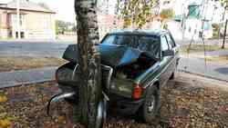 Водитель иномарки совершил наезд на дерево в результате ДТП в Валуйском горокруге