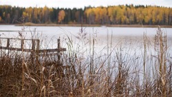 Белгородец заплатит крупный штраф за поджог сухой растительности