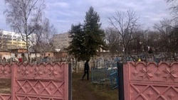Администрация округа пригласила неравнодушных валуйчан принять участие в уборке старого кладбища