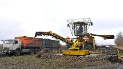 В поле дорог каждый час.  Уборка сахарной свёклы продолжилась в Валуйском округе