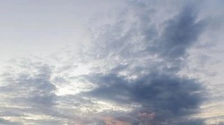 Водитель служебного автобуса погиб от удара БПЛА в Валуйском округе Белгородской области