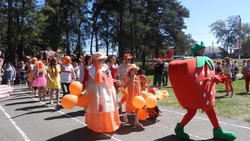 Валуйчане пригласили белгородцев на фестиваль «Клубничная страна»