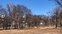 Работники приступили к строительству многофункциональной спортивной зоны у реки Валуй в Валуйках