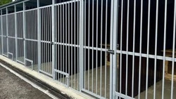 Строительство приюта для бездомных собак продолжается в Валуйках Белгородской области