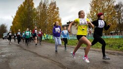 Региональный легкоатлетический кросс «Золотая осень» прошел в Валуйках