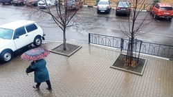 Туман и дожди придут в Белгородскую область завтра