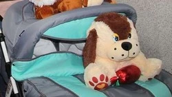 Трое новорождённых из Белгородской области  получили двойные имена с начала  года