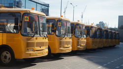 Белгородские школы получили более 60 новых автобусов