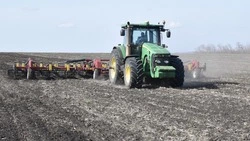 Фундамент урожая заложен. Валуйские аграрии завершают подкормку озимых и ведут сев ранних зерновых