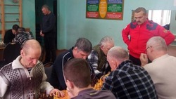 Первенство по шахматам завершилось в Валуйском горокруге Белгородской области