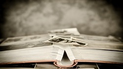 Церемония увековечивания памяти погибших в СВО выпускников интерната прошла в Белгородском районе