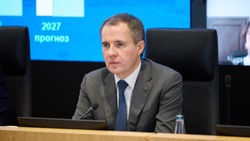 Вячеслав Гладков рассказал о подготовке заявок на участие в СЭЗ 
