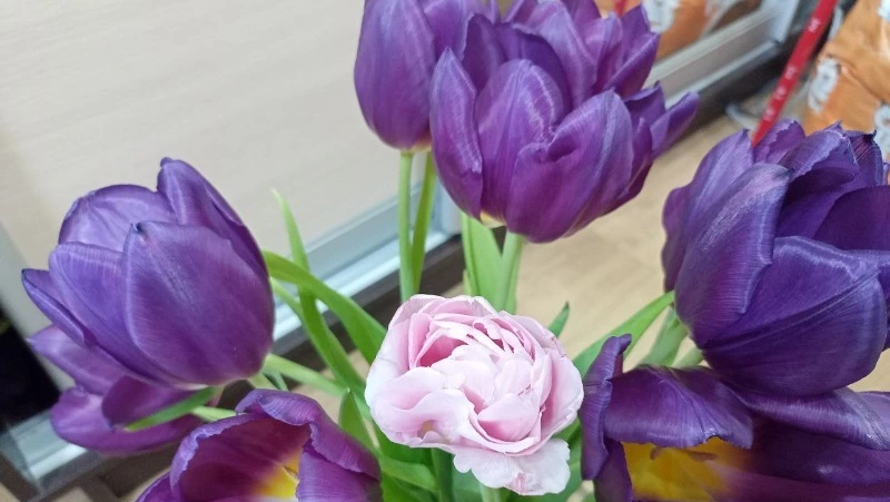 Губернатор Вячеслав Гладков поздравил жительниц Белгородской области с 8 Марта