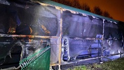 Шесть зебр погибли при пожаре в Белгородской области