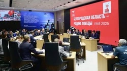 Губернатор Вячеслав Гладков опубликовал ссылки на проверенные Телеграм-каналы Белгородской области