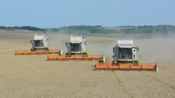 Вячеслав Гладков отметил рекордный урожай в этом году