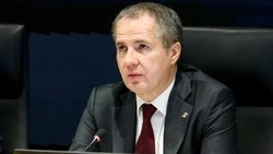Губернатор Вячеслав Гладков: «Регион получил 400 млн рублей на поддержку бизнеса