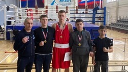 Боксёры из Валуйского округа завоевали золотые медали чемпионата и первенства Белгородской области