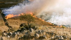 Сотрудники МЧС зафиксировали 16 случаев возгорания в регионе