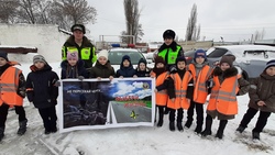 Сотрудники ГИБДД со школьниками провели профилактическую акцию по безопасности в Валуйках