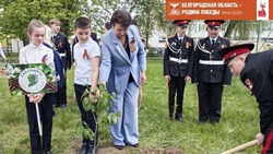 Жители Валуйского округа Белгородской области присоединились к акции «Сад памяти»