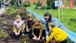 Жители Белгородской области  высадят 240 тысяч деревьев в рамках проекта «Сад памяти»
