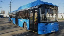 Белгородские власти порекомендовали пенсионерам пользоваться сервисом «Личный кабинет пассажира»