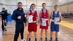 Валуйчане завоевали золотые награды открытого регионального турнира по боксу в Воронежской области