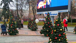 Валуйчане примут участие в открытии главной ёлки Белгородской области