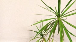 Решение Совета депутатов Валуйского муниципального округа от 27 марта 2026 года №434