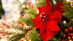 Валуйский отдел ЗАГС будет работать в дни Новогодних каникул по новому графику