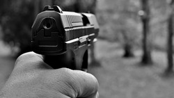Полицейские применили табельное оружие в валуйском Двулучном Белгородской области