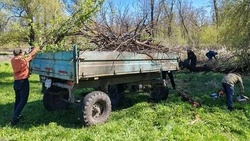 Жители Валуйского округа Белгородской области  присоединились к Всероссийскому субботнику