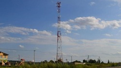 Вячеслав Гладков проинформировал о постройке 30 вышек сотовой связи в белгородских сёлах