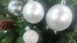 Белгородский губернатор поблагодарил юную жительницу региона за добрые слова перед Новым годом