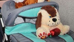 Трое новорождённых из Белгородской области  получили двойные имена с начала  года
