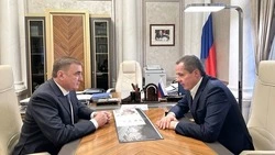 Вячеслав Гладков и Алексей Дюмин обсудили текущую оперативную обстановку в Белгородской области