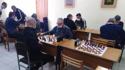 Шахматный турнир завершился в Валуйском городском округе