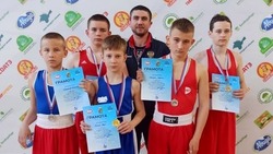 Валуйчане завоевали золотые медали открытого первенства спортшколы «Золотые перчатки» по боксу