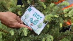 Экологический флешмоб #экочеллендж31  стартовал в Белгородской области