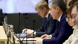 Белгородский губернатор Вячеслав Гладков поручил дать правовую оценку провокациям