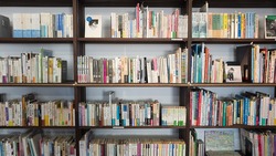 Белгородская область получит 30 млн рублей на обновление библиотек в регионе