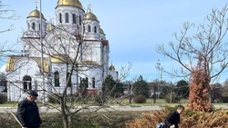 Жители Валуйского округа приняли участие в месячнике добровольного служения Белгородской области