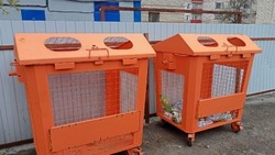 Власти Белгородской области постараются решить проблему вывоза мусора до конца ноября в регионе